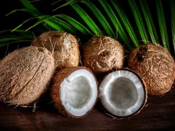 Noix De Coco - Signification Et Symbolisme Des Rêves 12