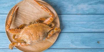 Crabe – Signification Et Symbolisme Des Rêves 102