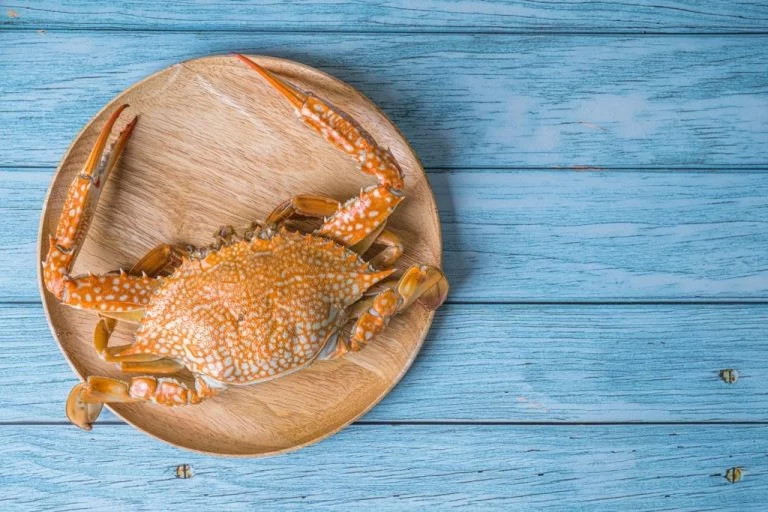 Crabe – Signification Et Symbolisme Des Rêves 1