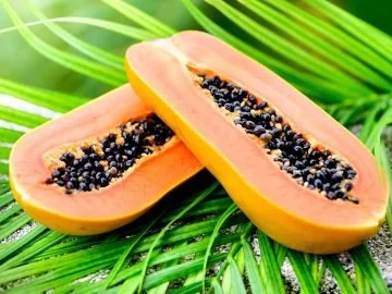 Papaya