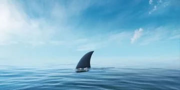 Requin - Signification Et Symbolisme Des Rêves 56
