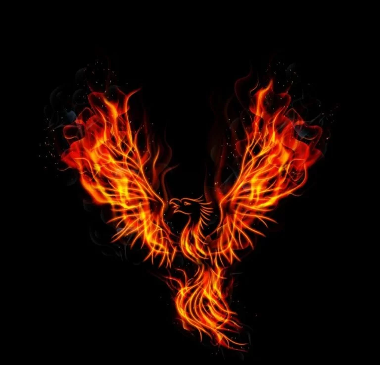 Phoenix – Signification Et Symbolisme Des Rêves 1