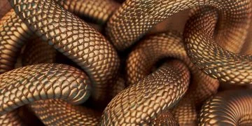 Beaucoup De Serpents – Signification Et Symbolisme Des Rêves 90