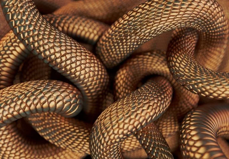 Beaucoup De Serpents – Signification Et Symbolisme Des Rêves 1