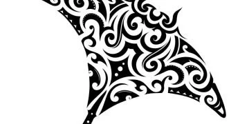 Arraia Maori – Signification Et Symbolisme Des Rêves 2