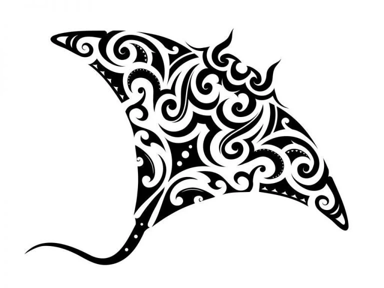 Arraia Maori – Signification Et Symbolisme Des Rêves 1